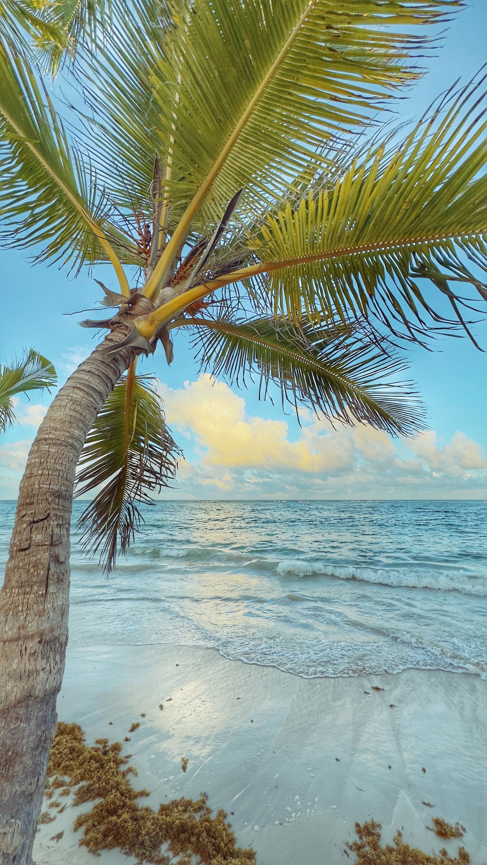 Sensory Beach