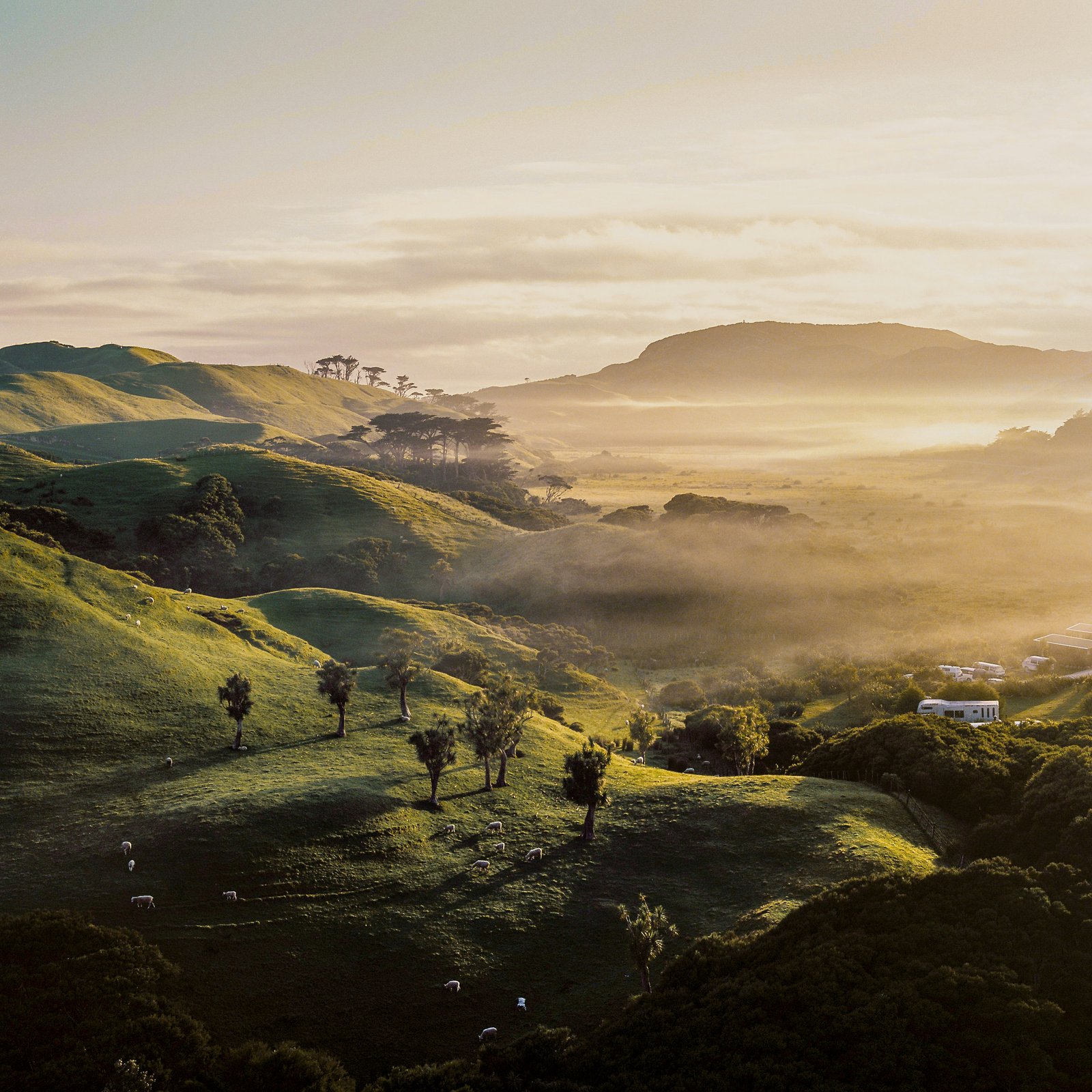 New Zealand